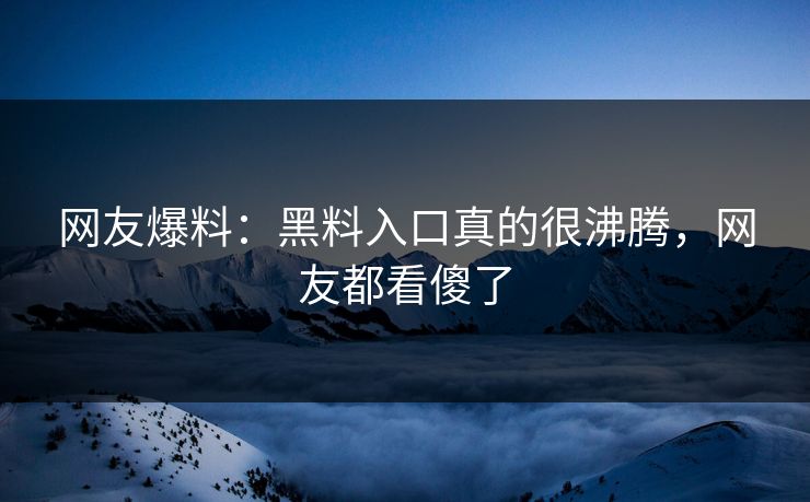 网友爆料：黑料入口真的很沸腾，网友都看傻了