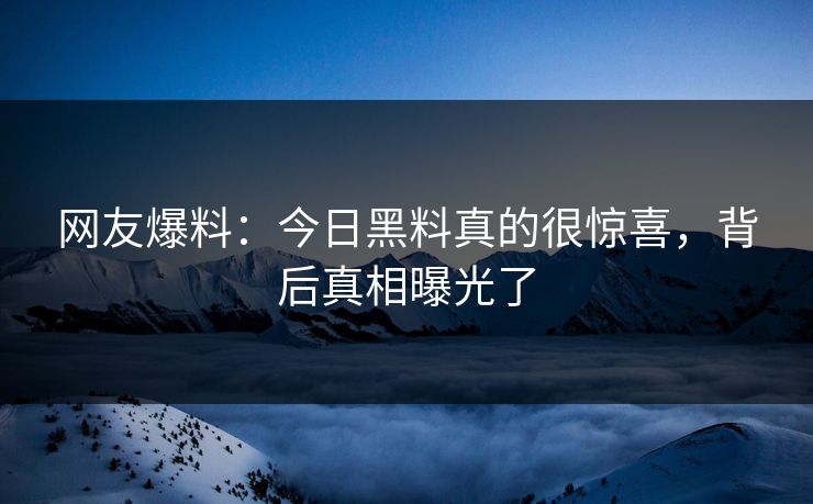 网友爆料：今日黑料真的很惊喜，背后真相曝光了