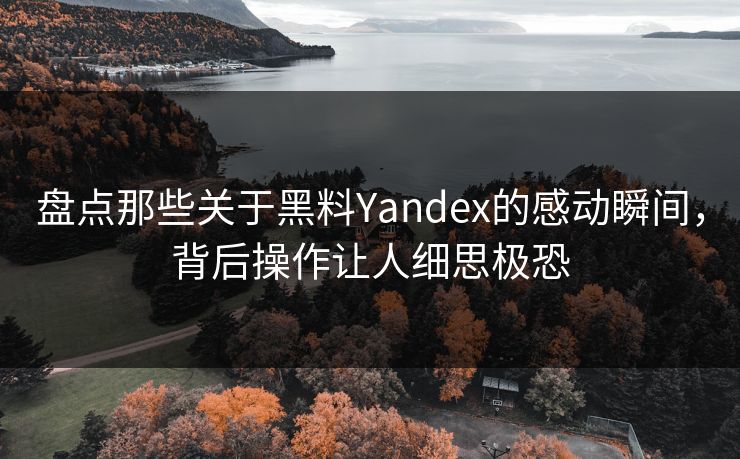 盘点那些关于黑料Yandex的感动瞬间，背后操作让人细思极恐