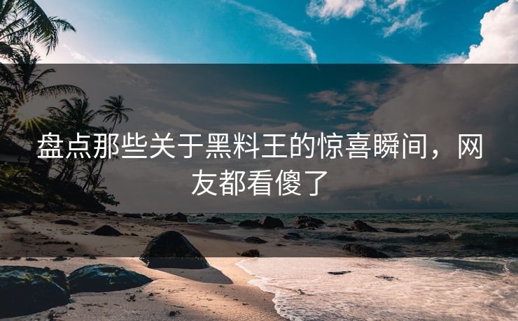盘点那些关于黑料王的惊喜瞬间，网友都看傻了  第1张