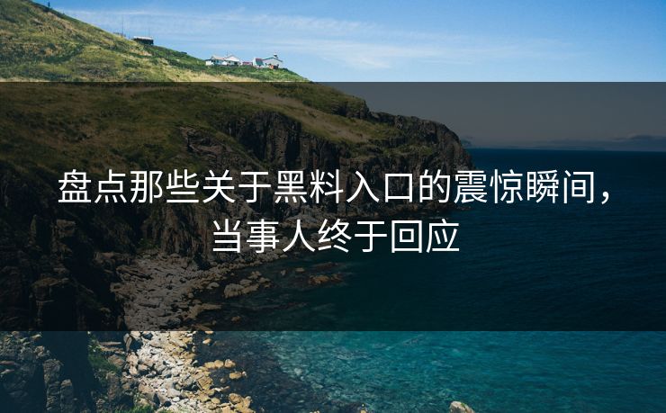 盘点那些关于黑料入口的震惊瞬间，当事人终于回应