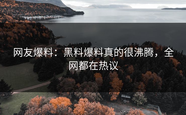 网友爆料：黑料爆料真的很沸腾，全网都在热议  第1张