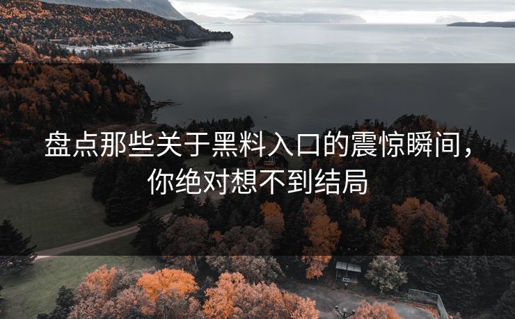 盘点那些关于黑料入口的震惊瞬间，你绝对想不到结局
