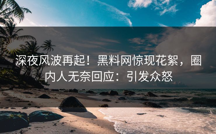 深夜风波再起！黑料网惊现花絮，圈内人无奈回应：引发众怒  第1张