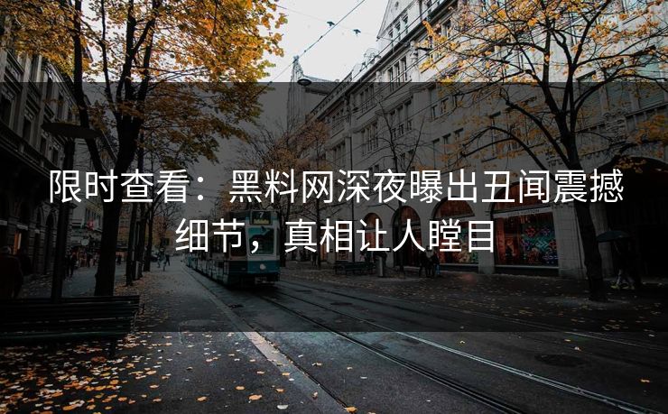 限时查看：黑料网深夜曝出丑闻震撼细节，真相让人瞠目  第1张