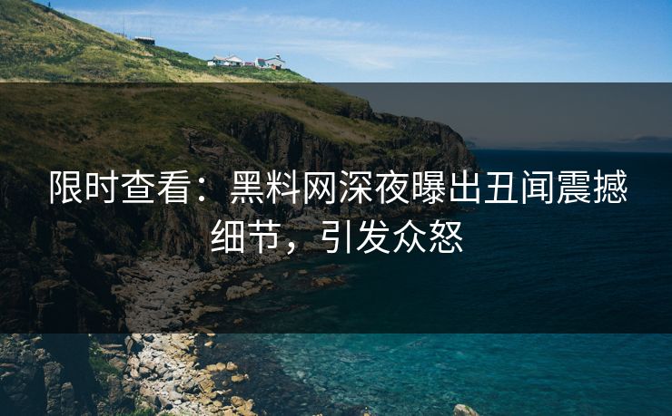 限时查看：黑料网深夜曝出丑闻震撼细节，引发众怒