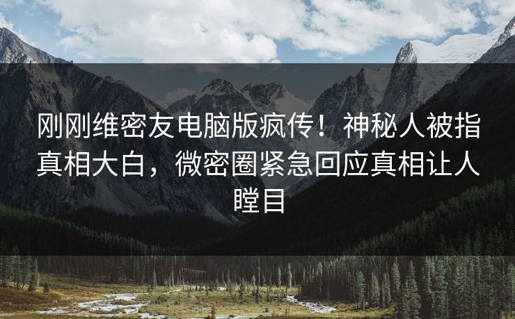 刚刚维密友电脑版疯传！神秘人被指真相大白，微密圈紧急回应真相让人瞠目  第1张