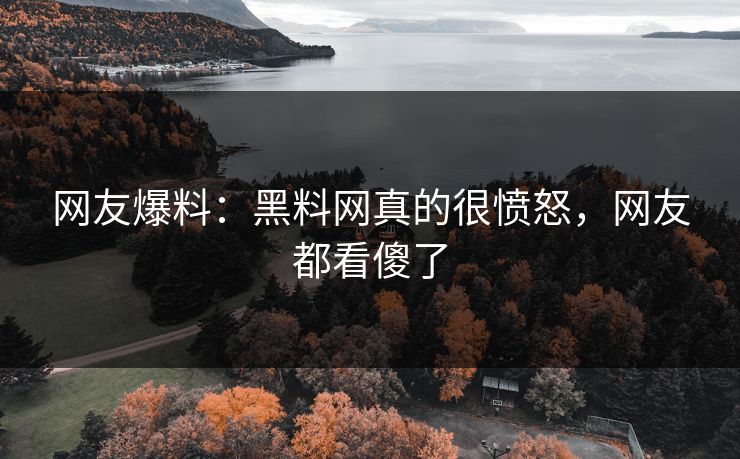 网友爆料：黑料网真的很愤怒，网友都看傻了