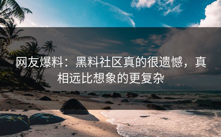 网友爆料：黑料社区真的很遗憾，真相远比想象的更复杂