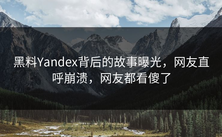 黑料Yandex背后的故事曝光，网友直呼崩溃，网友都看傻了  第1张