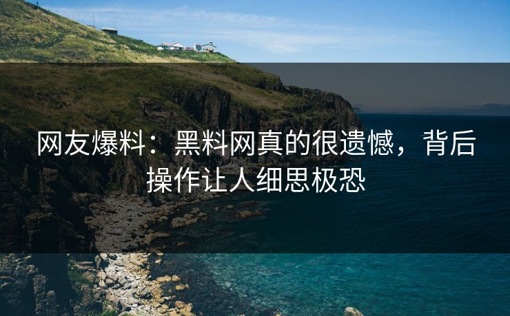 网友爆料：黑料网真的很遗憾，背后操作让人细思极恐
