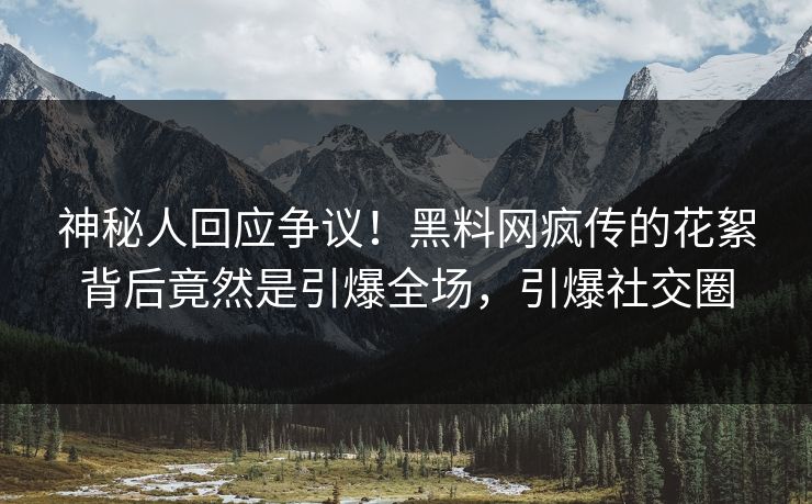 神秘人回应争议！黑料网疯传的花絮背后竟然是引爆全场，引爆社交圈  第1张