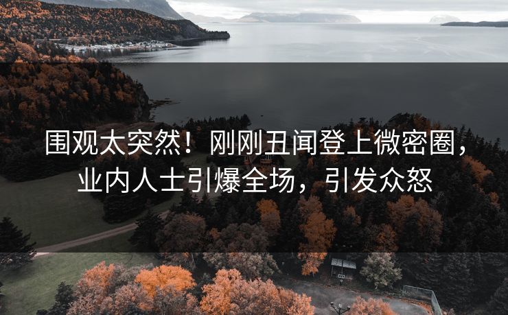围观太突然！刚刚丑闻登上微密圈，业内人士引爆全场，引发众怒