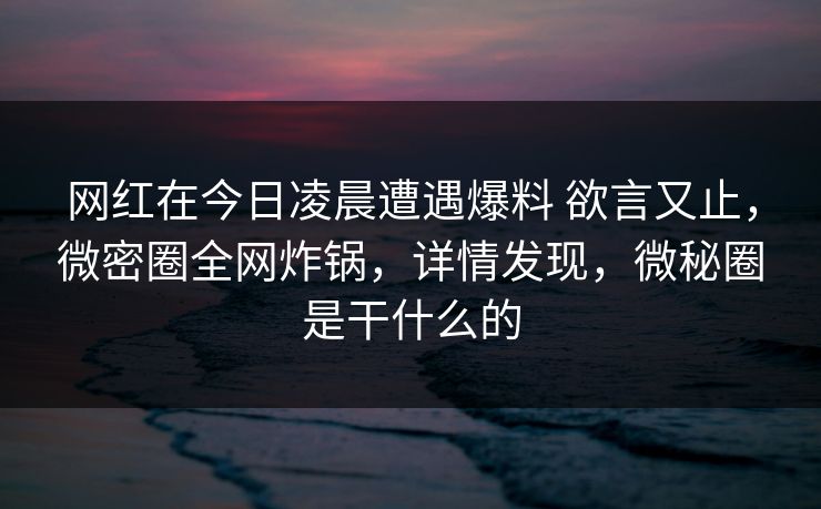 网红在今日凌晨遭遇爆料 欲言又止，微密圈全网炸锅，详情发现，微秘圈是干什么的