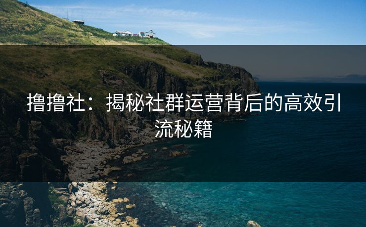 撸撸社：揭秘社群运营背后的高效引流秘籍