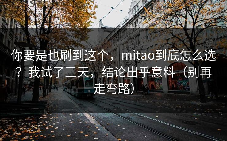 你要是也刷到这个,mitao到底怎么选?我试了三天,结论出乎意料(别再走弯路)